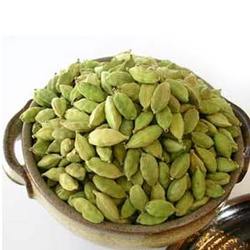 Manufacturers Exporters and Wholesale Suppliers of Green Cardamom Coimbatore Tamil Nadu